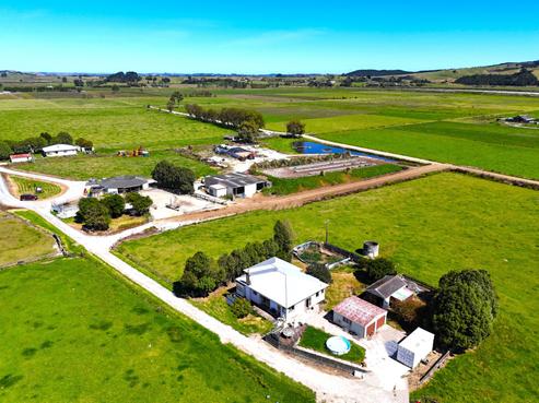981 Hoanga Road, Dargaville Surrounds
