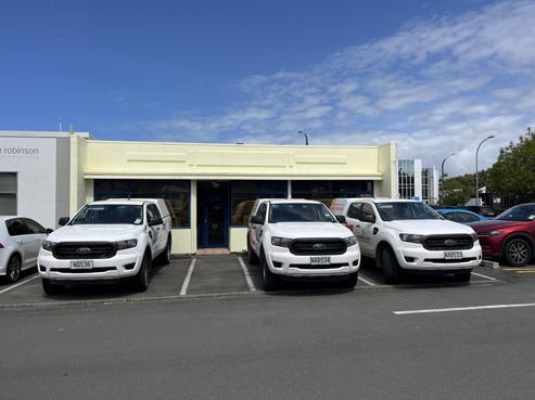 77 Raffles Street, Napier South