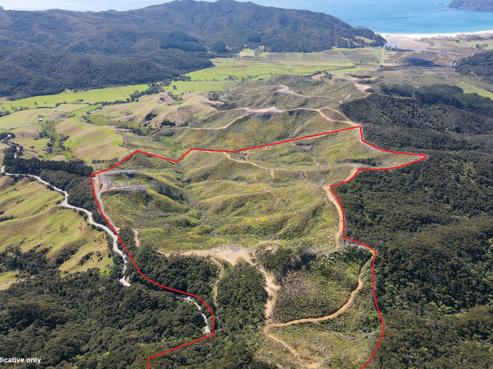 478 Port Charles Road, Waikawau