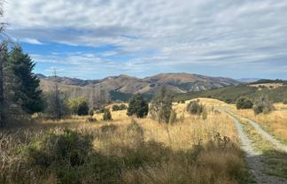 253 Mt Lyford Forest Drive, Lyford