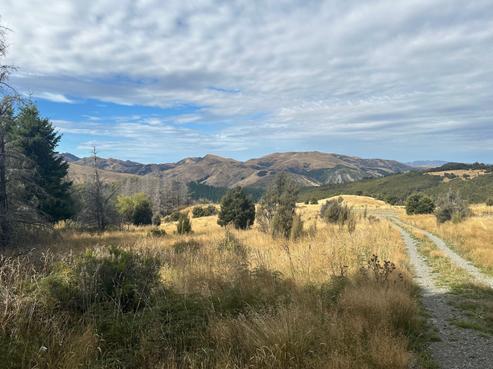 253 Mount Lyford Forest Drive, Lyford