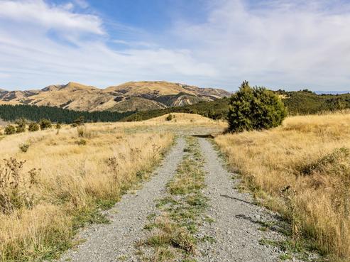 253 Mount Lyford Forest Drive, Lyford