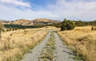 253 Mt Lyford Forest Drive, Lyford