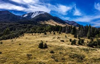 253 Mt Lyford Forest Drive, Lyford