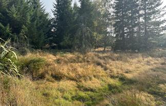 1 Mt Lyford Avenue, Lyford