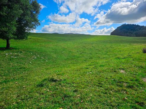 244 Waimangu Road, Whakarewarewa