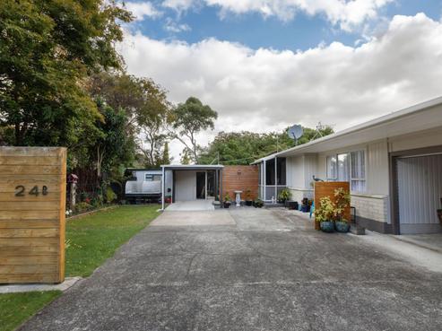 24B King Street, Dannevirke