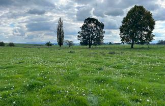 576C Mangawhero Road, Otorohanga