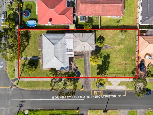 20 Koromiko Street, New Lynn