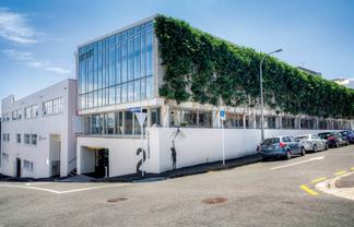 LARGE CHARACTER PARNELL OFFICE
