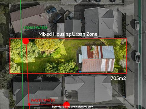 118 Carrington Road, Mount Albert