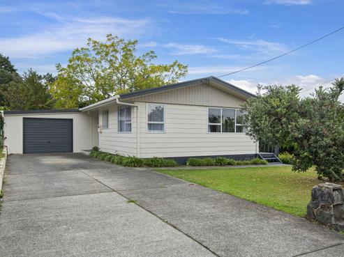 20 Raewyn Street, Morningside