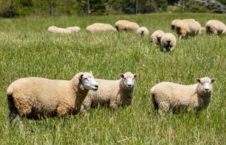 69 Titirangi Road, Kenepuru Sound