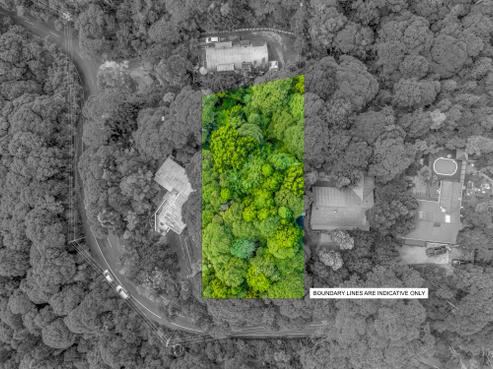 82 Mountain Road, Henderson Valley
