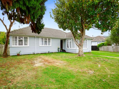 20 Hyde Street, Wainuiomata