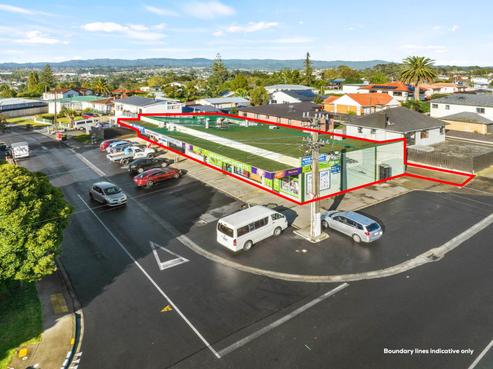 56 Waimumu Road, Massey