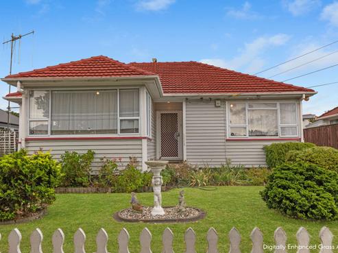 41 Harper Street, Gonville