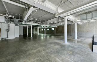 Blank Canvas in Ponsonby