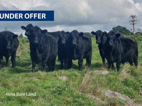 1026 Oparure Road, Te Kuiti