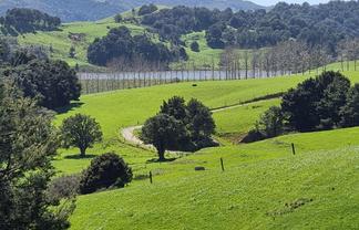 1594 Millbrook Road, Waipu