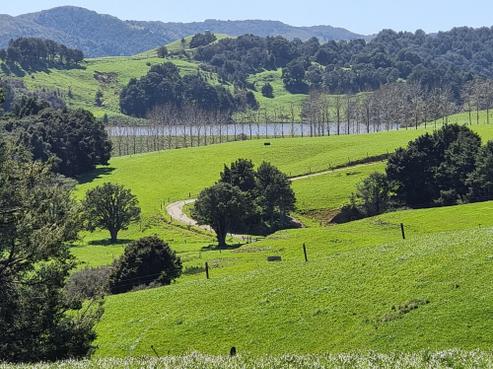 1594 Millbrook Road, Otamatea Surrounds