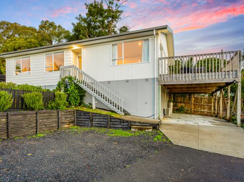 27 Danube Lane, Glen Eden