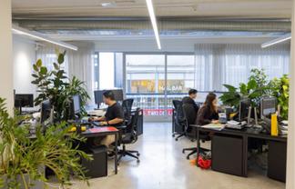 CBD Office Space - Modern Fit-out