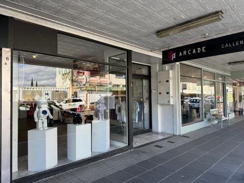 6 Hastings Street, Napier South