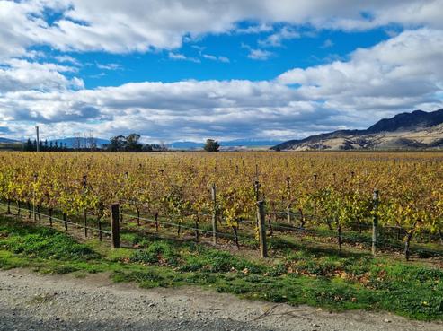 1034 Luggate-cromwell Road, Cromwell