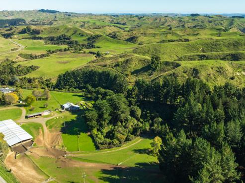 202 Bluff Road, Rangiwahia