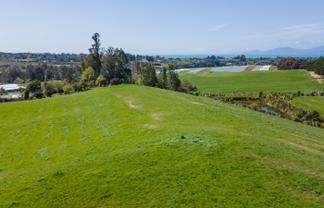 171 Dominion Road, Mahana