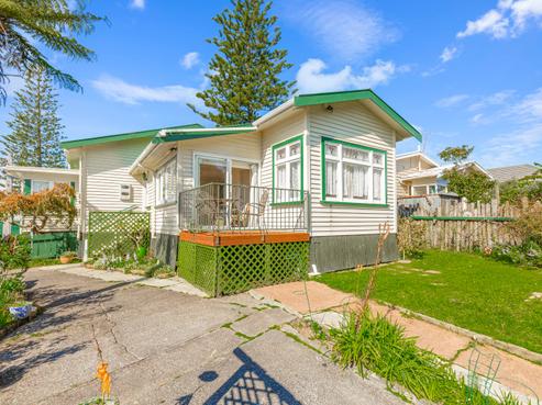 8 Nikau Street, New Lynn