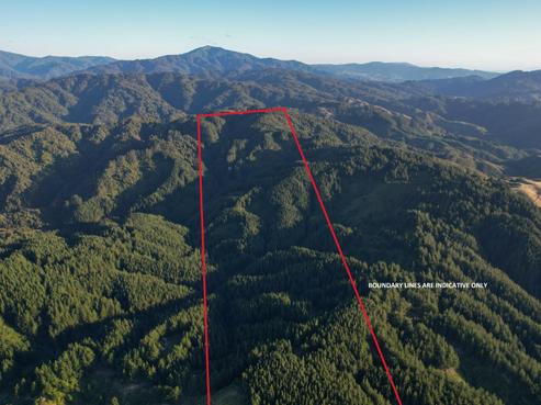818 Otaki Gorge Road, Otaki