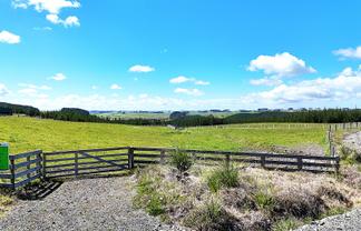Lot 6 Babylon Coast Road, Dargaville