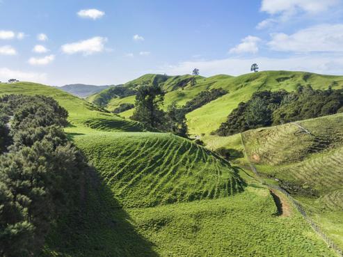 309C Wentworth Valley Road, Whangamata