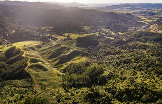 1870 The 309 Road, Whitianga