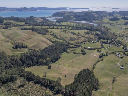 403 Purangi Road, Cooks Beach