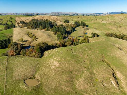 148 Mangatainoka Valley Road, Eketahuna