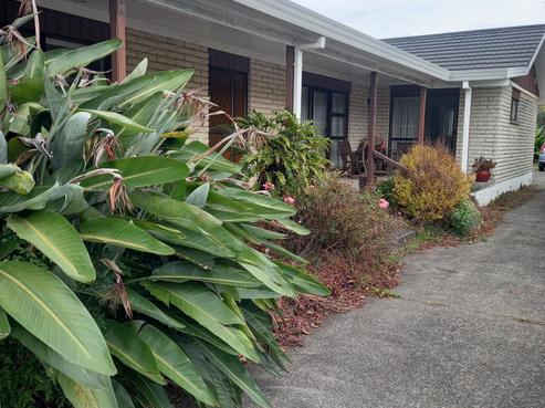 301 Main Road, Tairua