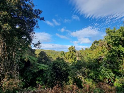186 Horseshoe Bay Road, Stewart Island