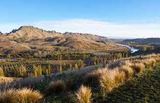 1387 Tuki Tuki Road, Havelock North