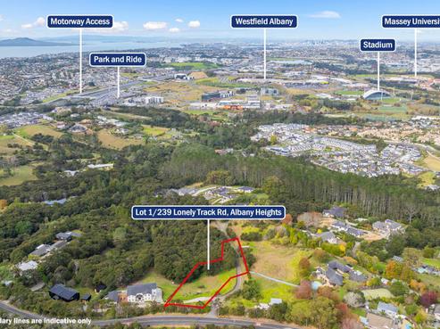 239 Lonely Track Road, Albany Heights
