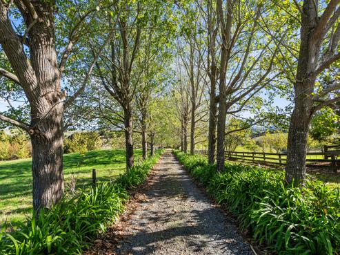 253 Attwood Road, Ruatangata