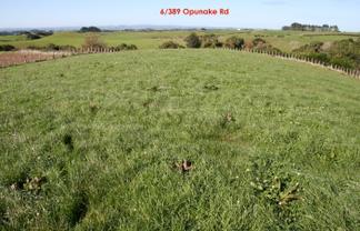 6/389 Opunake Road, Stratford