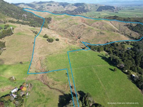 48 County Road, Paeroa