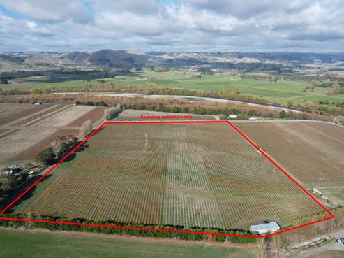 20 Dakins Road, Carterton