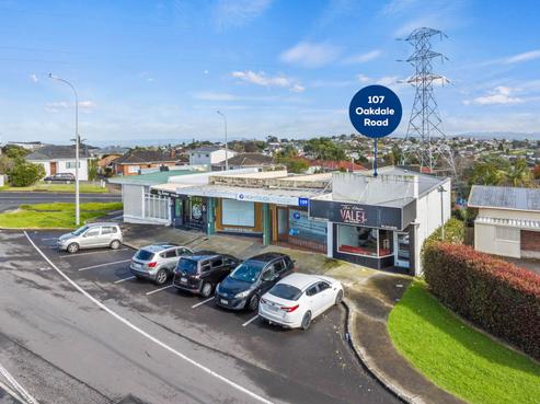 107 Oakdale Road, Mount Roskill