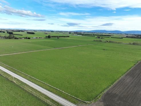 125 Hamilton Road, Winton Surrounds