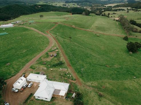 588 Trounson Park Road, Dargaville Surrounds