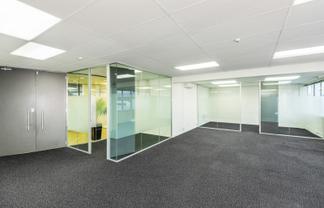 Plush Parnell Office